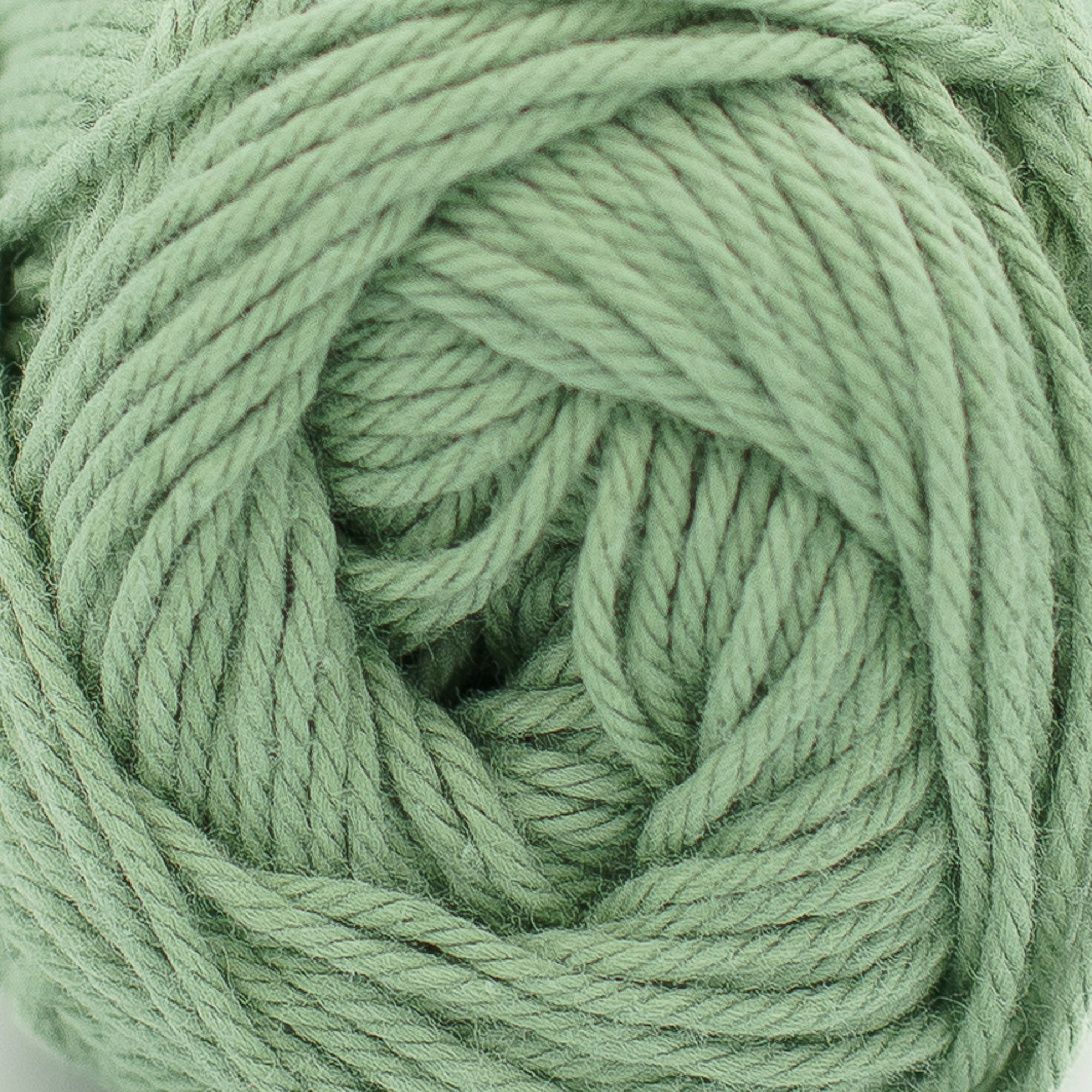 Kit - SUMMER MUSE 100% Cotton Yarn (Palm Beach)